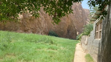 Wadi Shab / Tiwi